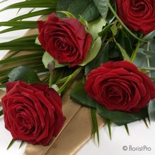 6x red roses
