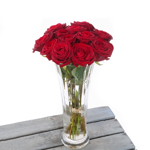 12  RED ROSE