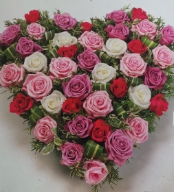 Heart
